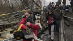 Imágenes de ucranianos que abandonan el país cargando a sus perritos y gatitos rompen el corazón | FOTOS