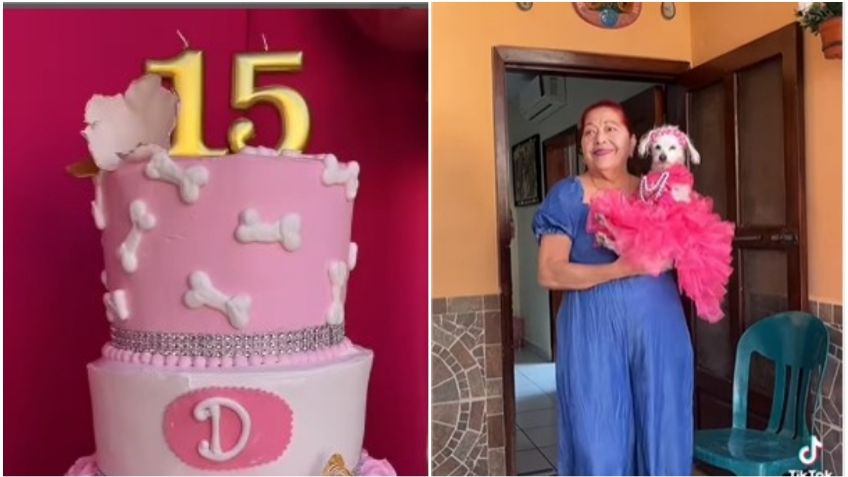 Con vestido y pastel de tres pisos, perrita festeja 15 años: VIDEO