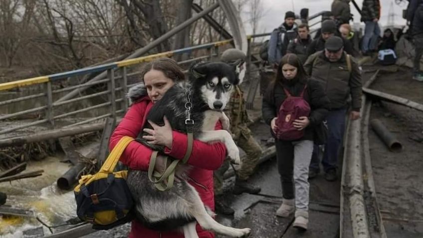 Imágenes de ucranianos que abandonan el país cargando a sus perritos y gatitos rompen el corazón | FOTOS