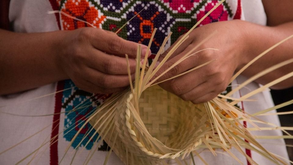 La mayoría de los padres de familia se dedican a robar, así tal cual, a robar para poderles dar de comer a veces a sus familias