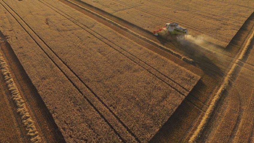 Escasez de alimentos será el siguiente desastre mundial, afirman expertos