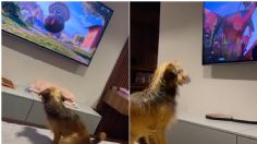 TikTok I Perrito ve película animada y su reacción se hace viral: “Le tiene miedo al pavo”