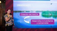 "Blindan" Lago de Texcoco contra NAIM; decretan área como natural protegida