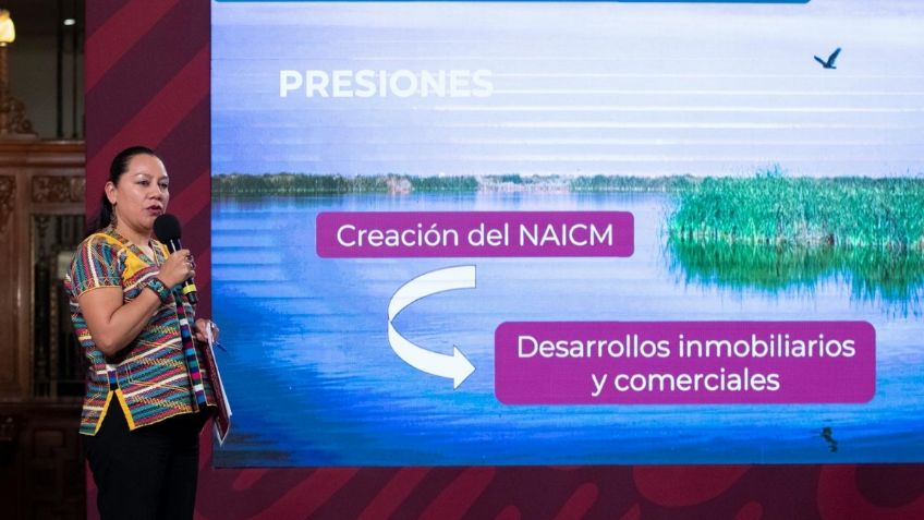 "Blindan" Lago de Texcoco contra NAIM; decretan área como natural protegida