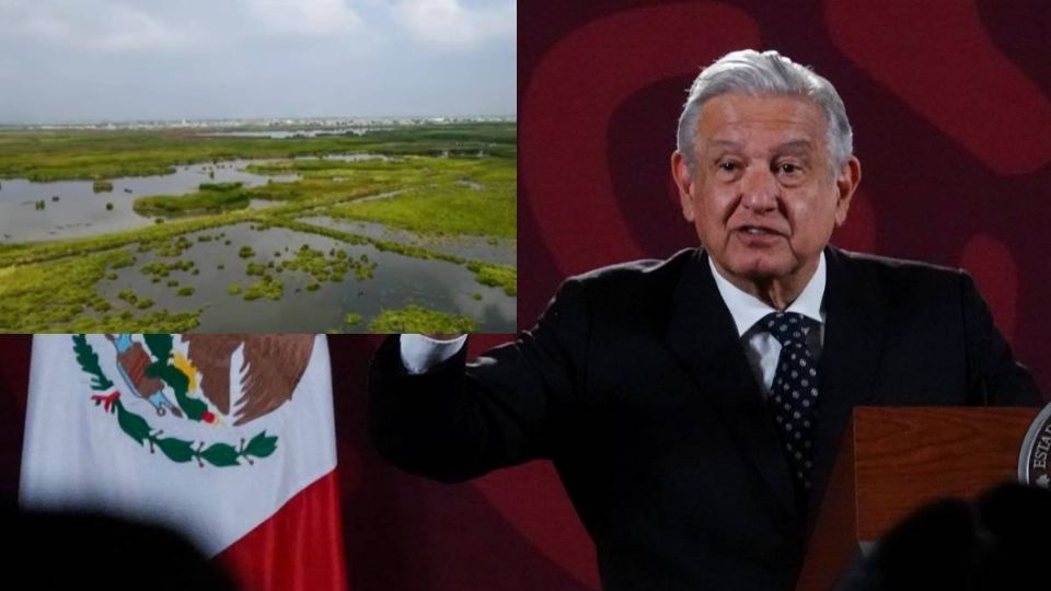 AMLO anunció la nueva área natural protegida.