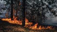 Cambio climático desplaza a 101 mil personas en México