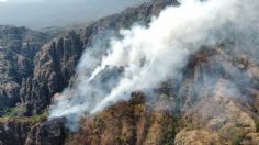 Reportan control del 60% en incendio de Tepoztlán