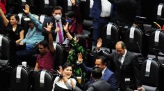 Diputados aprueban “Ley Ingrid”, establecen hasta 10 años de cárcel por difundir imágenes de víctimas