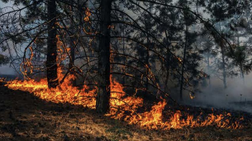 ONU: El mundo se dirige "con los ojos cerrados" a una crisis climática sin precedentes