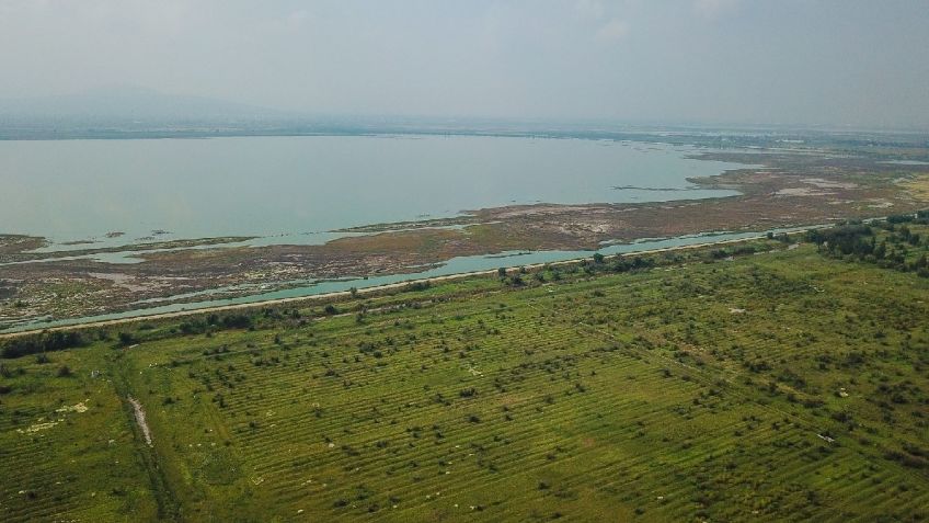 ¿En qué beneficia que el Lago de Texcoco sea declarado como área natural protegida?