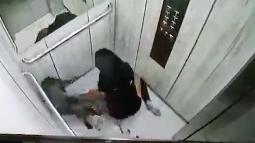 ¡De terror! Mujer es brutalmente atacada por pitbull en elevador | VIDEO