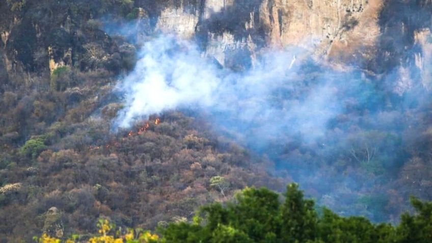 Alerta por incendios forestales en Morelos, Tamaulipas, Oaxaca y Jalisco