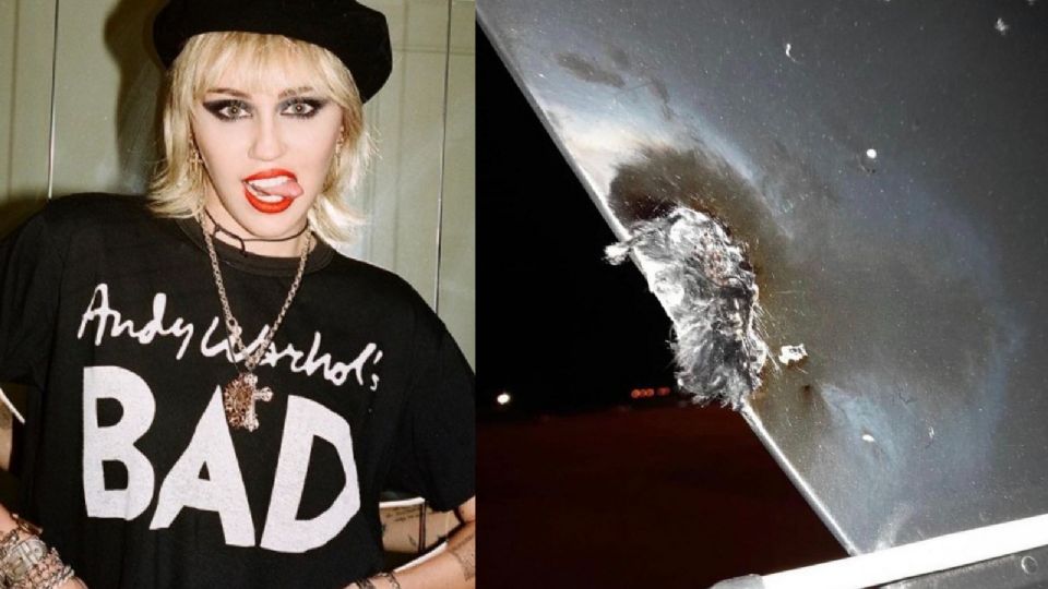 El avión en el que viajaba Miley Cyrus fue impactado por un rayo; así se vivió el trágico momento.