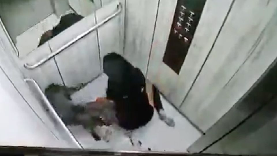 La mujer logro bajar del quinto al primer piso pese a los ataques