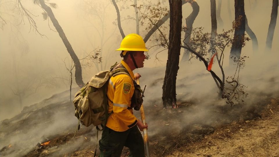 Impactantes imágenes del incendio forestal que consume el Bosque de la Primavera en Guadalajara