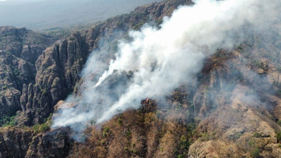 El causante del fuego se encuentra detenido y se le valorará psicológicamente