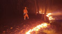 FGE detiene a un sospechoso que habría provocado el incendio en el Bosque de la Primavera