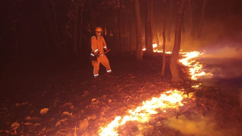 FGE detiene a un sospechoso que habría provocado el incendio en el Bosque de la Primavera