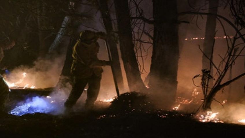 Controlan incendio forestal en Bosque La Primavera