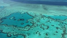 Gran Barrera de Coral de Australia se blanquea a niveles escandalosos, ¿causaría un desastre mundial?