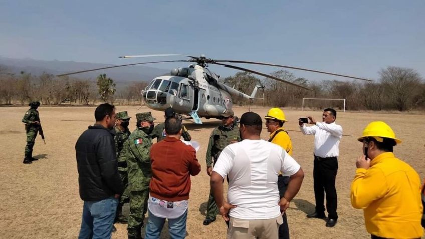 Colillas de cigarro habrían provocado el incendio en la Biosfera El Cielo, señala Protección Civil de Tamaulipas