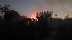 Conafor reporta 9 incendios forestales en Colima; la mayoría en Manzanillo