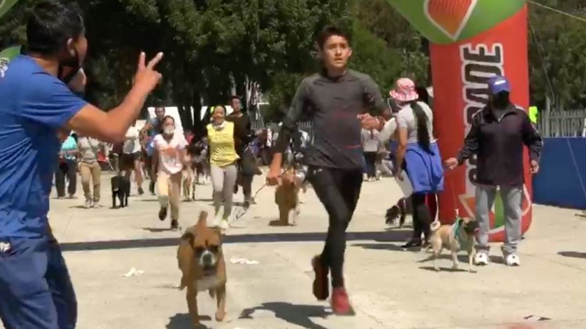 Lomitos y sus humanos demostraron su condición física en el maratón canino de Coyoacán