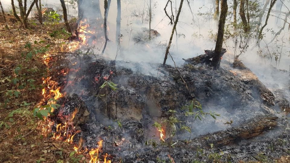 Son ya 658 hectáreas siniestradas.