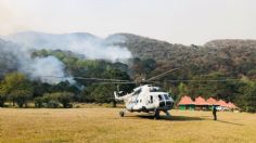 Establecen brecha de control para incendio forestal en Biósfera El Cielo de Tamaulipas