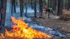 Suman cinco brigadistas muertos en incendios forestales en Edomex