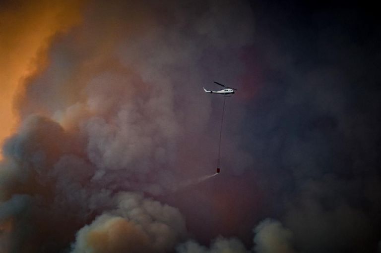 incendio forestal nuevo león