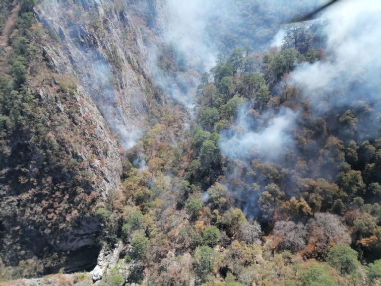 incendio forestal nuevo león