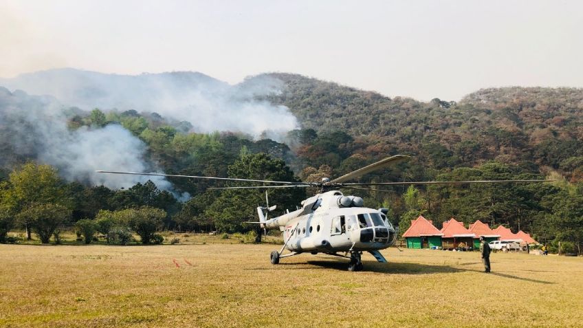 Establecen brecha de control para incendio forestal en Biósfera El Cielo de Tamaulipas