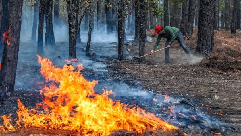 Suman cinco brigadistas muertos en incendios forestales en Edomex