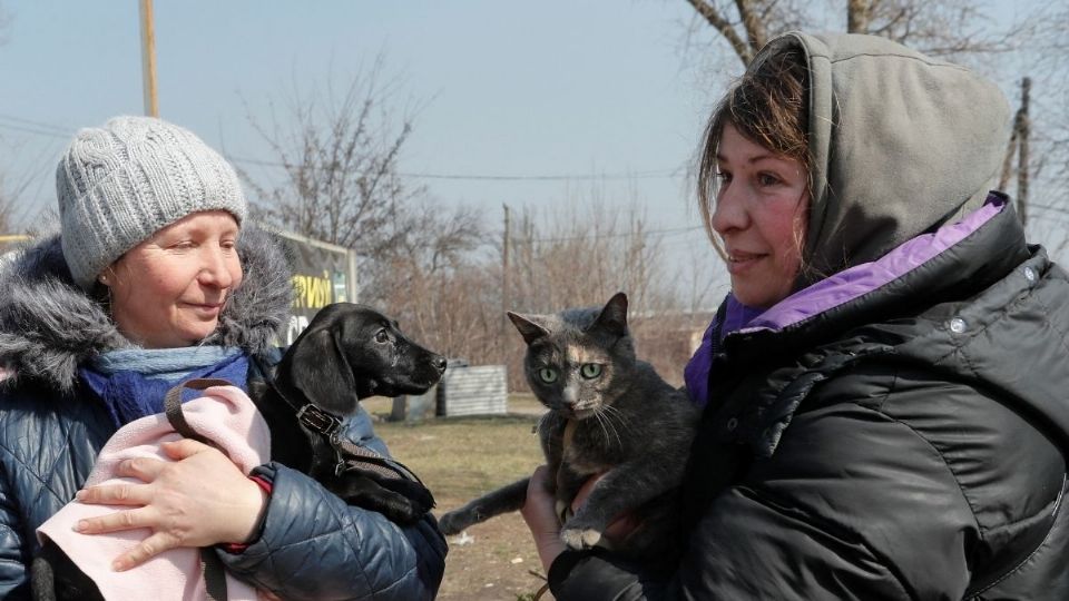 DESDE UCRANIA. Evacuados sostienen un gato y un perro, mientras son sacados de Mariúpol