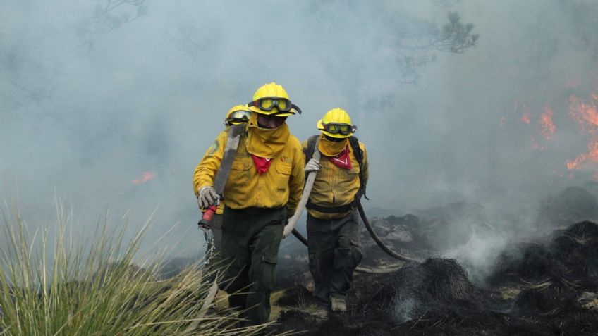 Tlalpan está lista para combatir incendios forestales