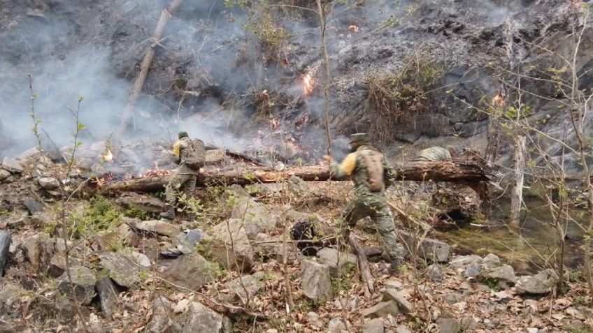 Sedema en Nuevo León interpone denuncia penal por incendio forestal en Sierra de Santiago