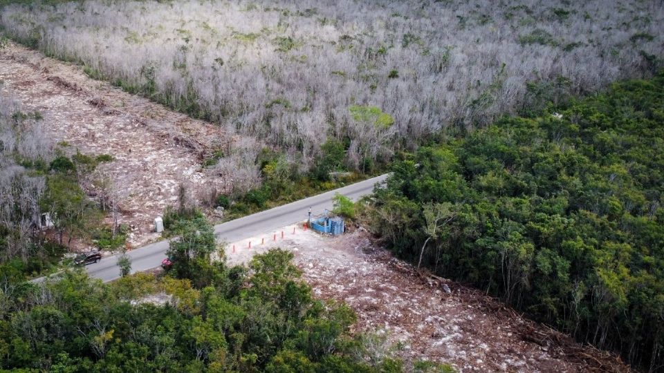 Las suspensiones derivaron de un amparo interpuesto en enero de 2021