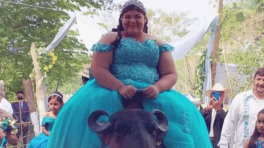 Quinceañera llega a su fiesta montada en un búfalo en Veracruz; historia se vuelve VIRAL