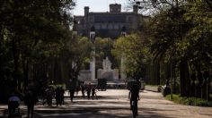 Bosque de Chapultepec: Actividades GRATIS en marzo 2022