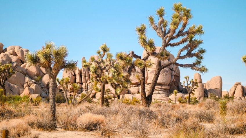 5 paraísos escondidos en Baja California que los lugareños no quieren que sepas