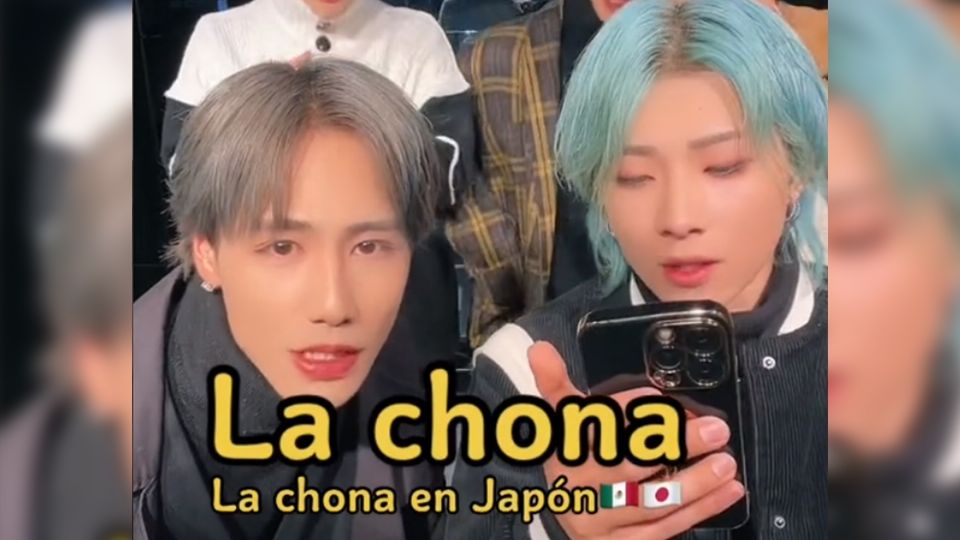 El video es viral. Captura de TikTok @maboroshi_official