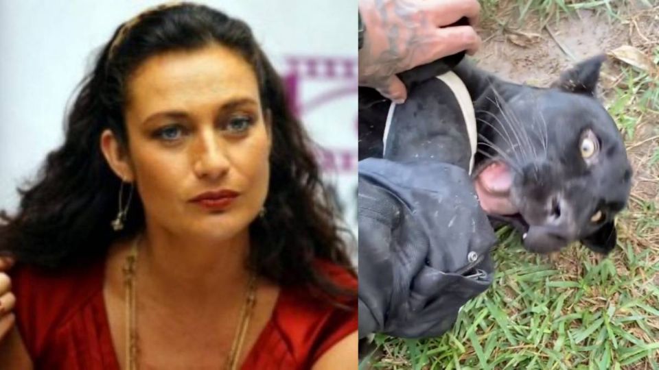 Diana Golden explotó contra los famosos que tiene animales exóticos como mascotas.