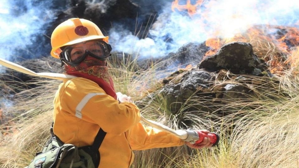 Tomaron el “Curso Básico para Combatientes  Forestales”.