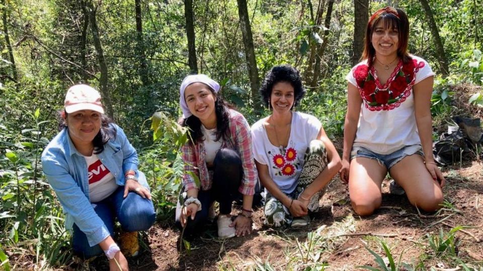 Feministas en Veracruz siembran árboles en memoria de víctimas de feminicidios