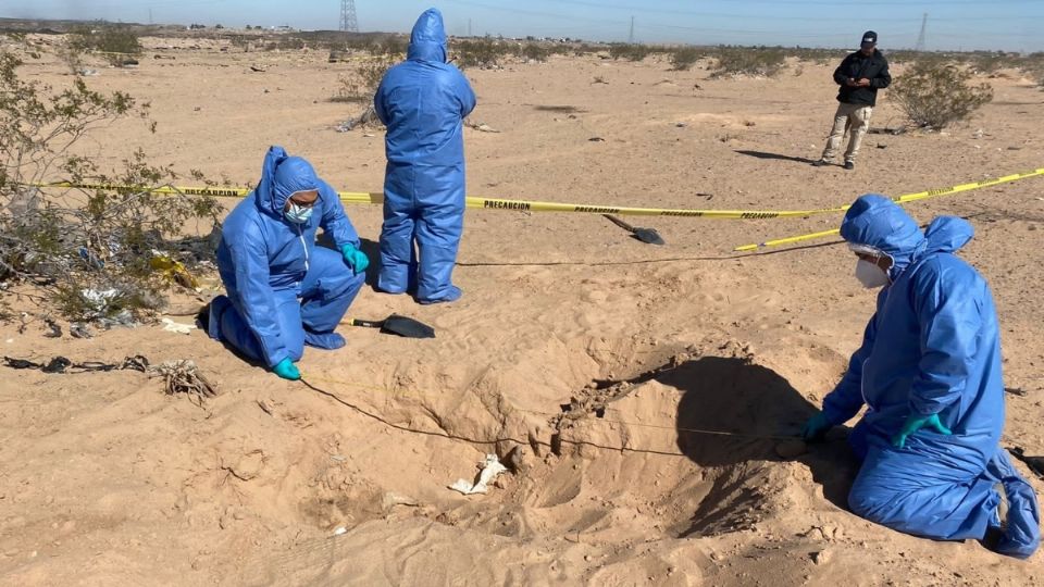 El colectivo comenzó la búsqueda el pasado domingo donde localizaron tres cuerpos masculinos en una fosa clandestina.