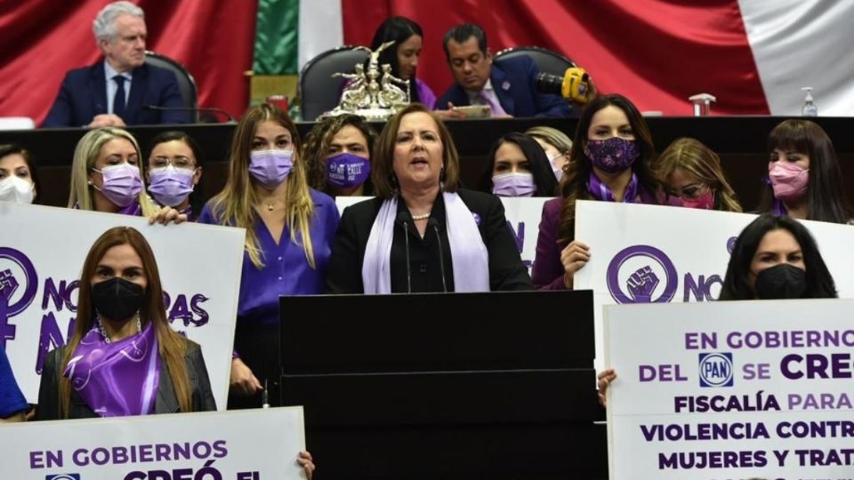 ¡No se felicita, se lucha!, fueron algunas de las pancartas que portaban las diputadas.