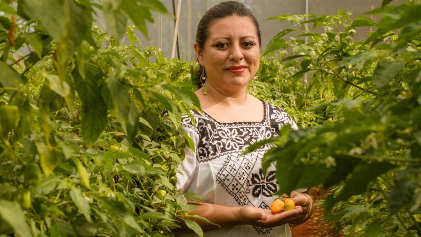 Más de 992 mil mujeres trabajan en el sector primario del país: Agricultura