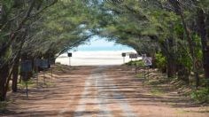 ¡Llévate a la familia! Gobierno de Altamira ofrece transporte GRATIS a la playa Tesoro en Tamaulipas