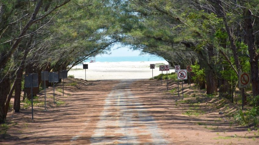 ¡Llévate a la familia! Gobierno de Altamira ofrece transporte GRATIS a la playa Tesoro en Tamaulipas